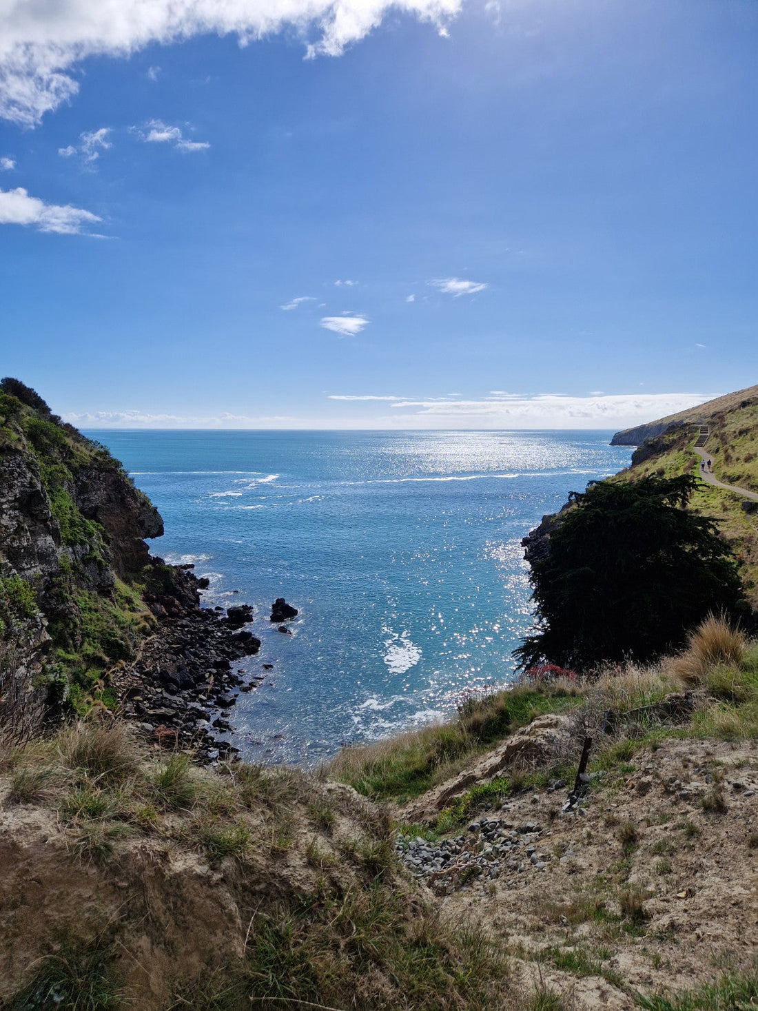 A view out to sea from a path on Godley Head